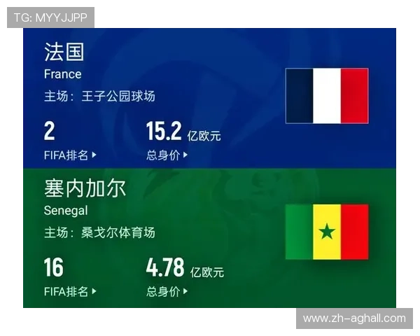 世界杯法国对阵塞内加尔比赛中双方球员身价详细分析与最新排名情况 世界杯法国对阵塞内加尔比赛中双方球员身价详细分析与最新排名情况